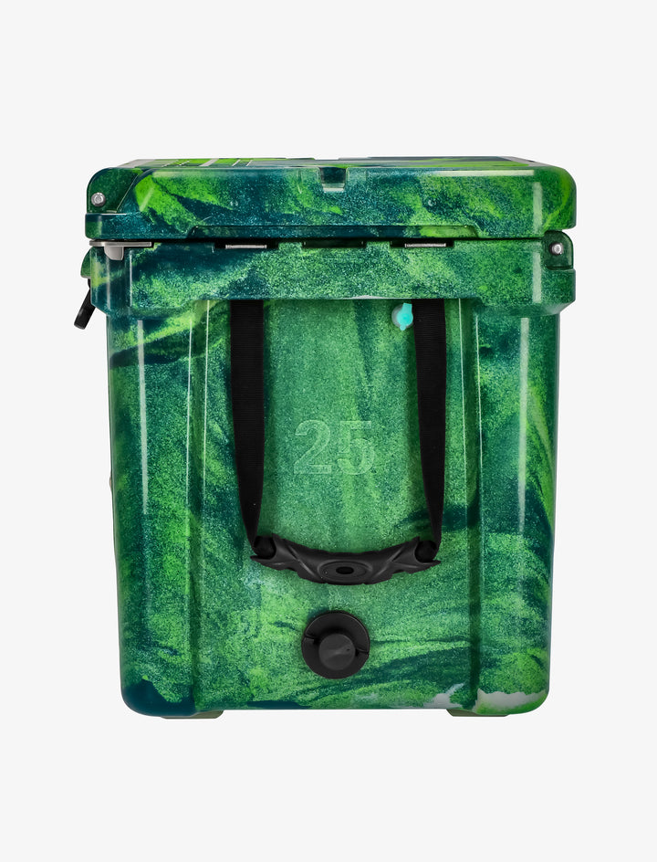 #color_rainier-green
